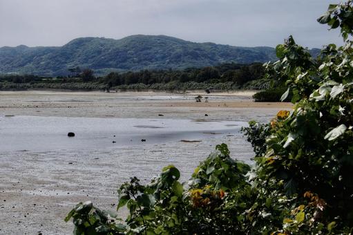 名蔵アンパル石垣島エコツアーBe-Wonder