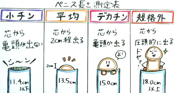 巨根サイズはどこから？】15cm以上、500円玉より太ければデカチンと言える｜あんしん通販コラム