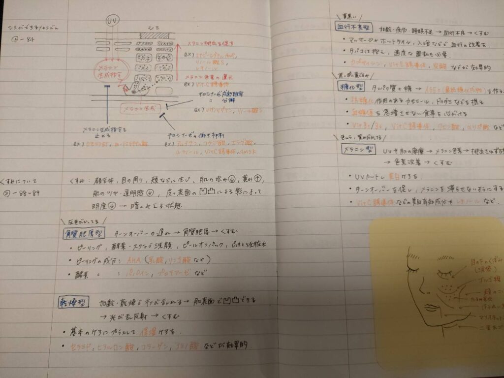 仕事が速い人」が守っている3つの基本。仕事の効率アップに効くノート術「バレットジャーナル」とは - STUDYHACKER スタディーハッカー 社会人の勉強法＆英語学習