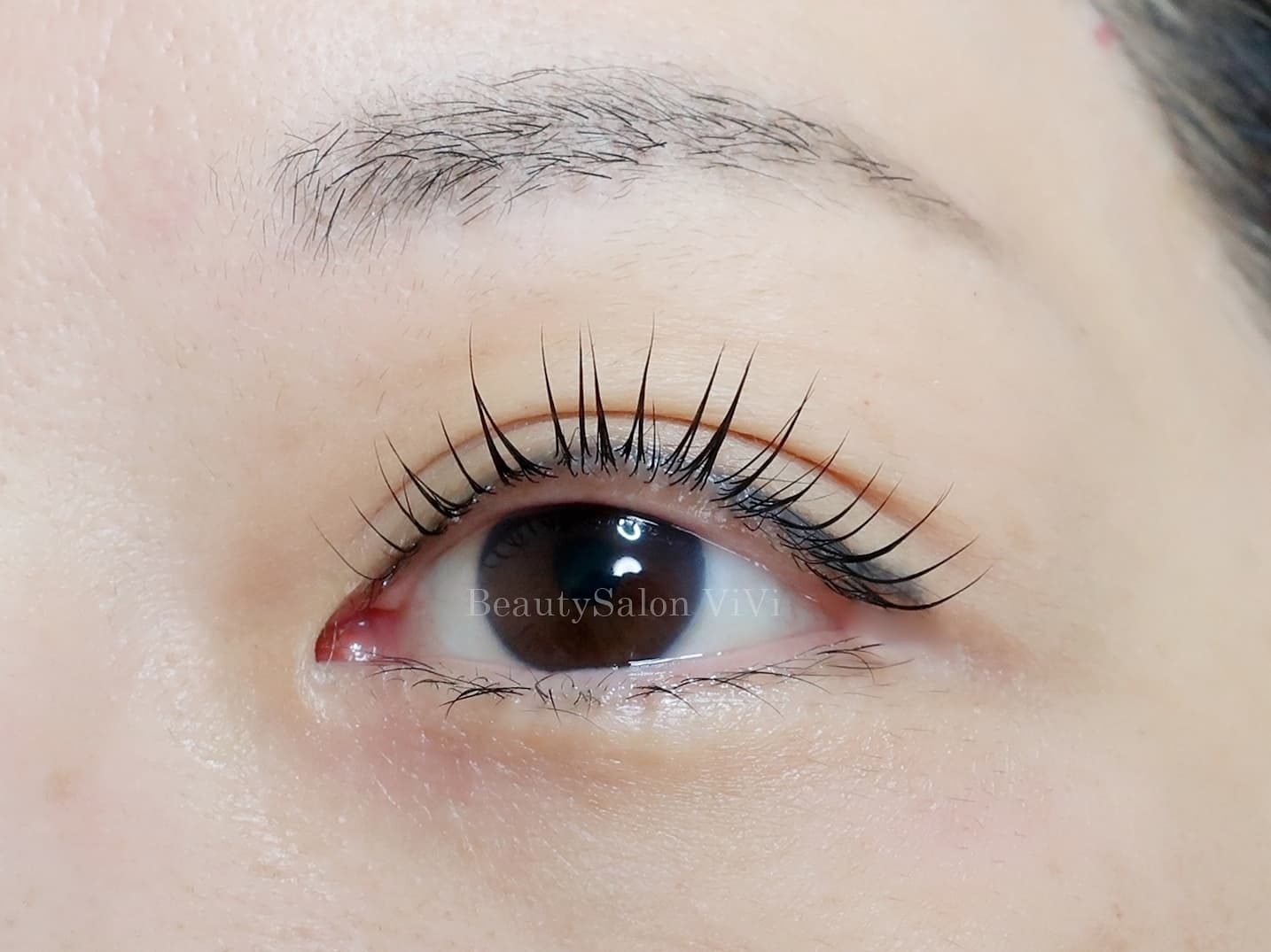 Eye Lash Salon