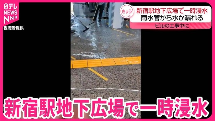 今朝ね、昨夜の雨の影響で西武新宿線 西武新宿駅北口改札が閉鎖だったの。 屋根の一部が剥がれ落ちたとか TV取材も来てました。 西武線のサイトにも乗換案内にも出てこなくて、着いて初めて知って、凄く困った；꒳；20分前に着くよう早く出てたからよかったけど