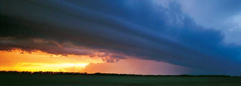 テロワールにはどんな意味がある？おすすめの日本酒についても紹介