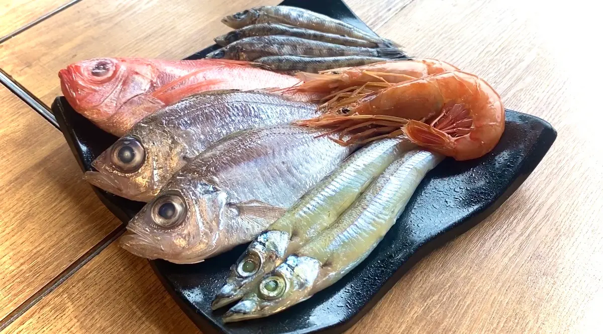 다이슈키 홀드r42 판- 나무위키