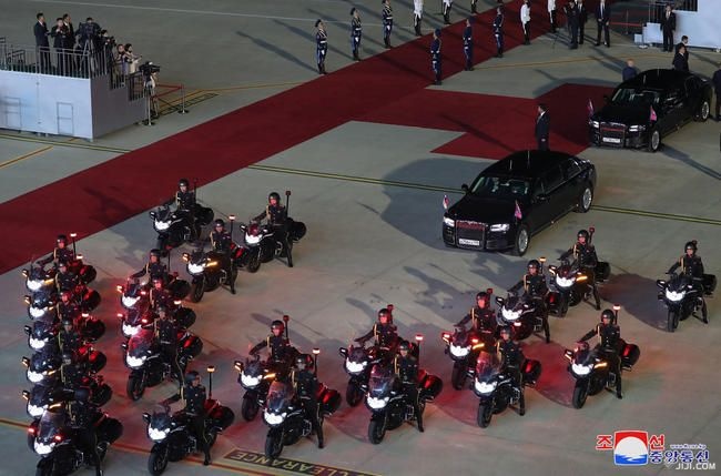 未使用 grace グレイス プラド150 tx後期 5人シートカバー デ×キ プロ