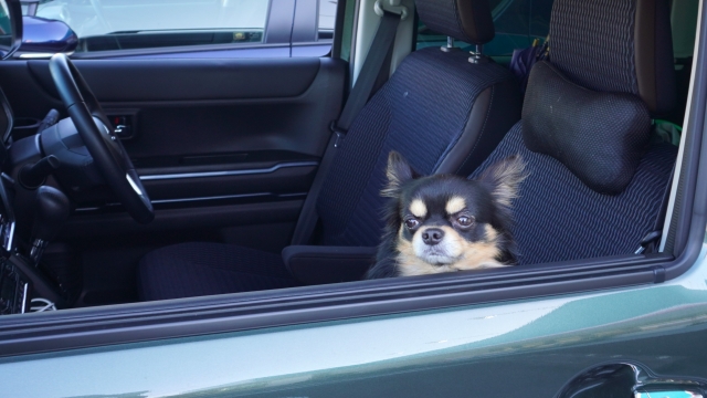 BMW MINI パワーウィンドウが動かない時の応急処置！コプリンブログ