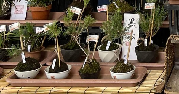 ワーキャー』コーナーまとめ21-40真空ジェシカのラジオ父ちゃん 作業用・BGM - YouTube