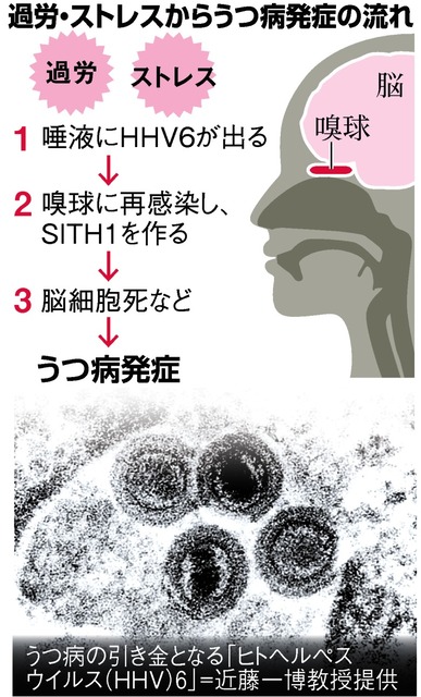 性病、性感染症 解決済みの質問 - Yahoo!知恵袋