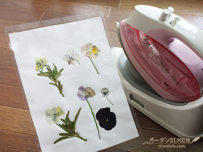 ラミネートが機械なしでできる！身近な代用術 100均・クリアファイル・アイロン・テープ おもちゃのお札もゆる育ライフ