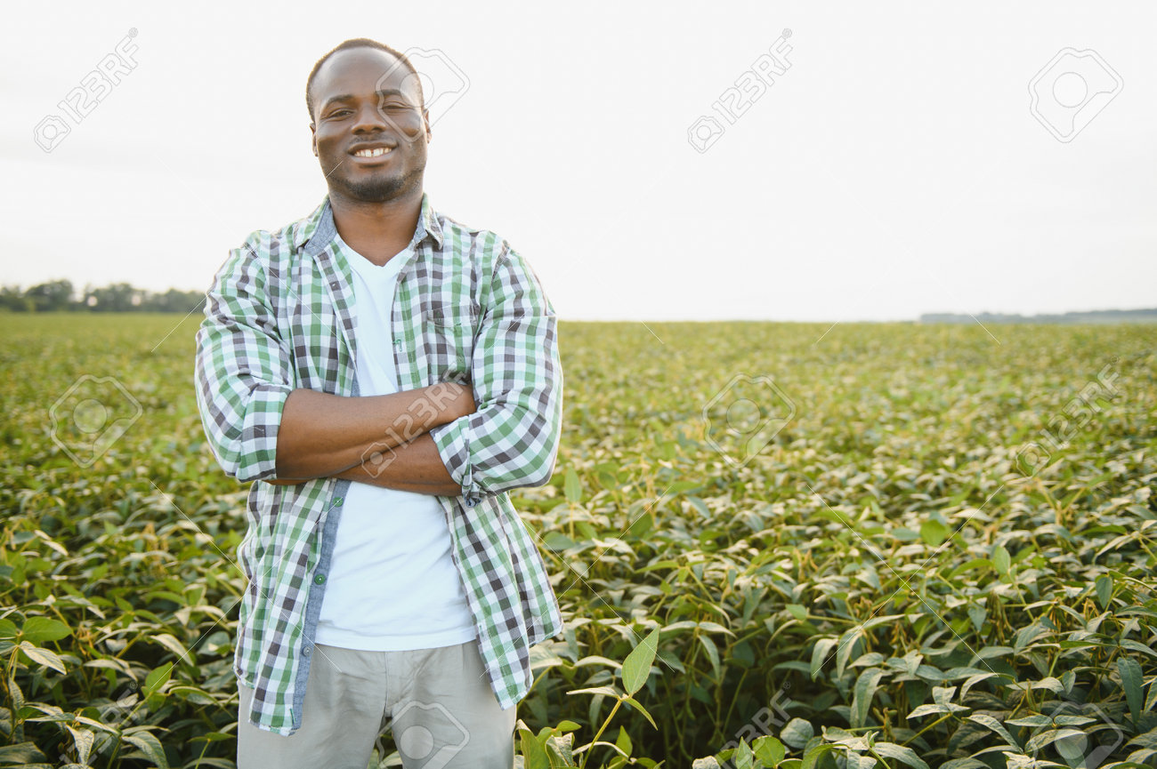 大豆の育て方 基本の栽培方法やお世話のポイント、収穫のコツ植物とあなたをつなぐPlantia