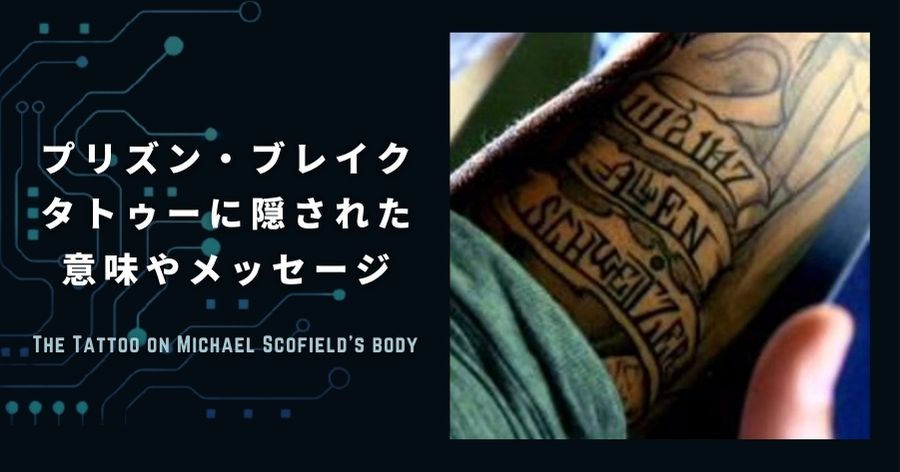 スコティッシュフォールド垂れ耳で長毛、更に短足な珍しいスコちゃん登場♪マルワンBLOGペットショップ マルワン 小さめ子犬 美形な子猫初心者安心のサポート