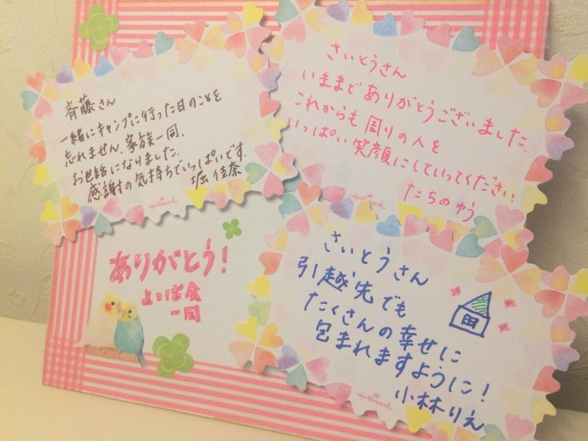 50008 メッセージカード お世話になりました 退職 送別 ポスト投函 ギフト お花 花束 手作り 立体 ブック型ボックス 送料無料en-tres エントレス気持ちが伝わる、ちょっと贅沢なメッセージカード