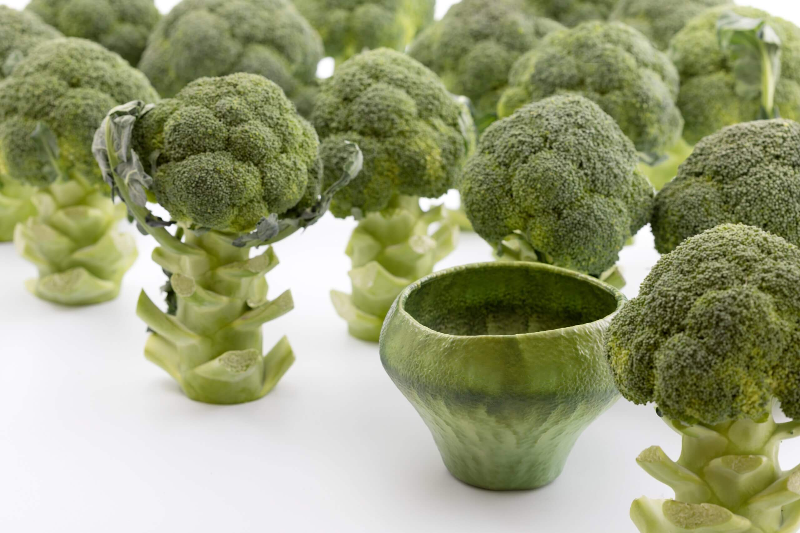 テレワーク・在宅勤務におすすめのプリンター 複合機 の選び方Ray Terrace レイテラス