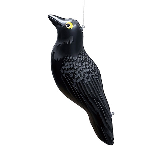 ベクター 鳥 カラス マークの写真素材 - PIXTA