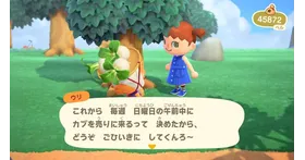 あつ森 2025年版 カブ価予測ツール丨今週の売り時を簡単予想 あつまれどうぶつの森- アルテマ