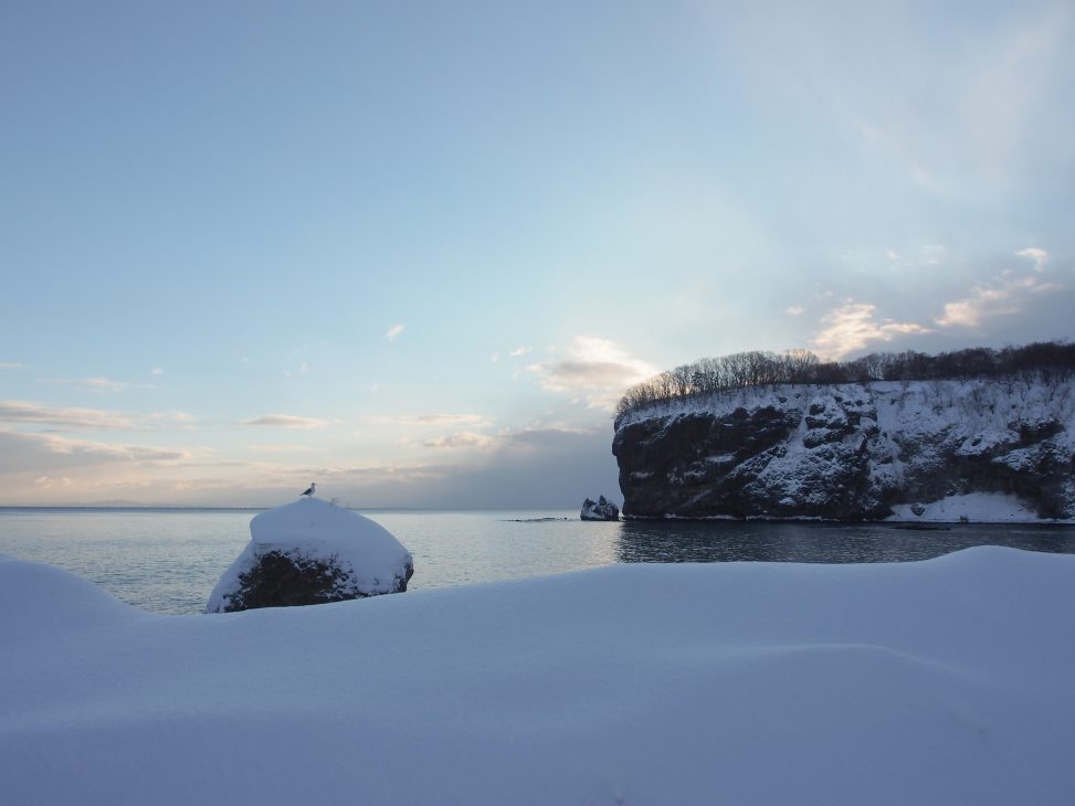 冬の森に輝く朝陽と雪に伸びる木の影の写真素材 [88953066] -