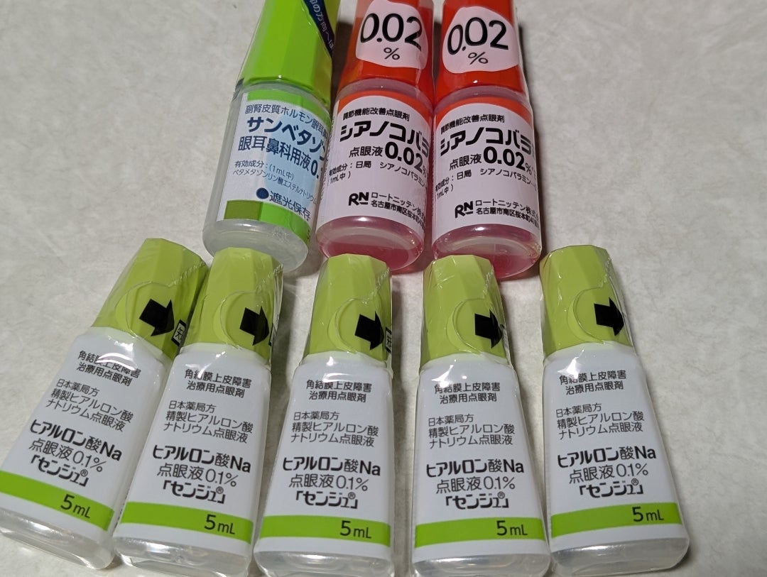 共有の冷蔵庫の中身をルールを作って管理出来る張り紙・共同で利用する時に使い方の案内とし利用可能なテンプレートです。 共有