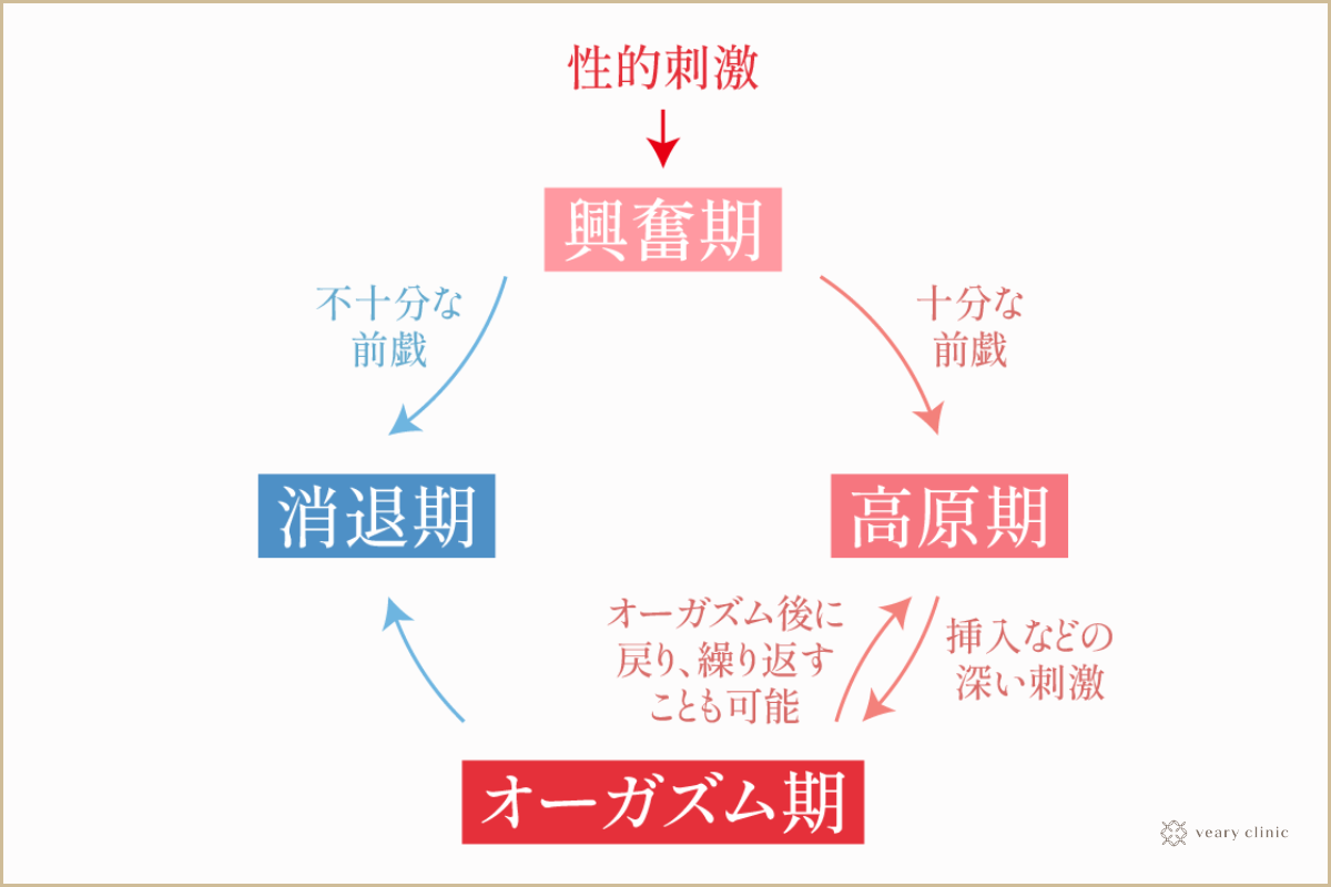 女性が中イキしやすくなる方法やコツからできない原因まで解説 | コラム一覧｜  東京の婦人科形成・小陰唇縮小・婦人科形成（女性器形成）・包茎手術・膣ヒアルロン酸クリニック