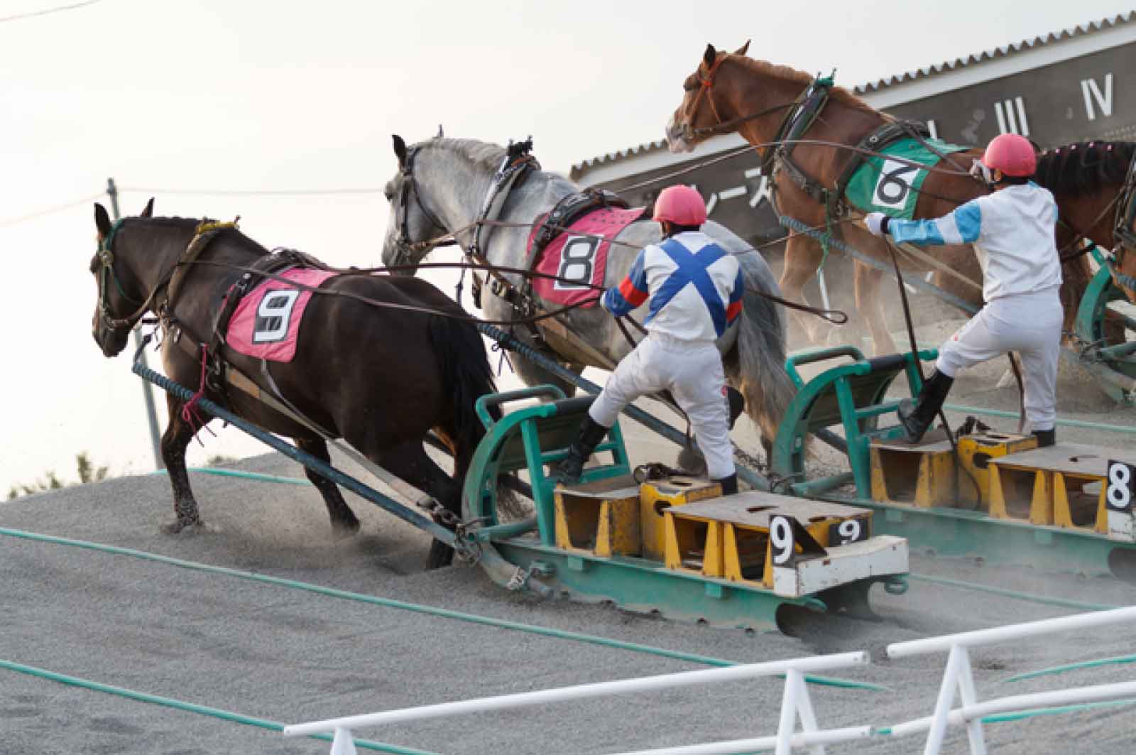 決定版】北海道・帯広でセフレの作り方！！ヤリモク女子と出会う方法を伝授！【2024年】 | otona-asobiba[オトナのアソビ場]