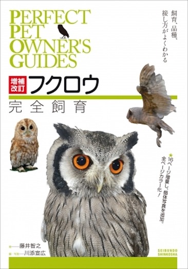 スタポケ】調教とは？調教のやり方とおすすめローテーション｜スターホースポケット