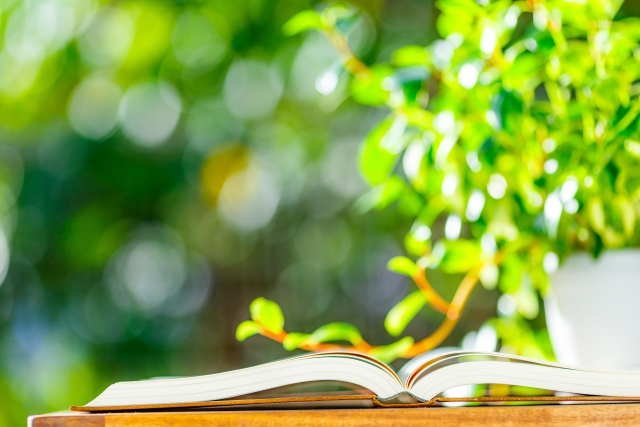 大切な本”をすっきり整理しよう！おすすめアイテムとおしゃれ収納術キナリノ