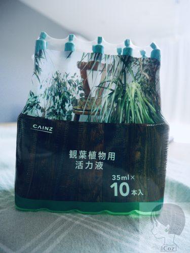 100均のゼオライトとガラスの器で観葉植物のハイドロカルチャー自作してみたCozmaga