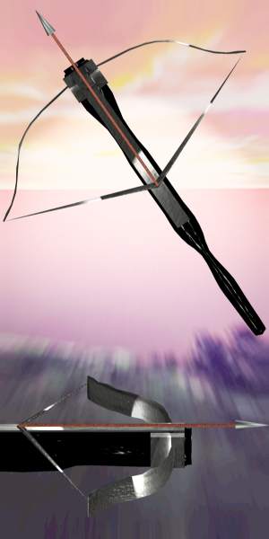 クロスボウの所持が原則禁止にTOKYO MX+ プラス