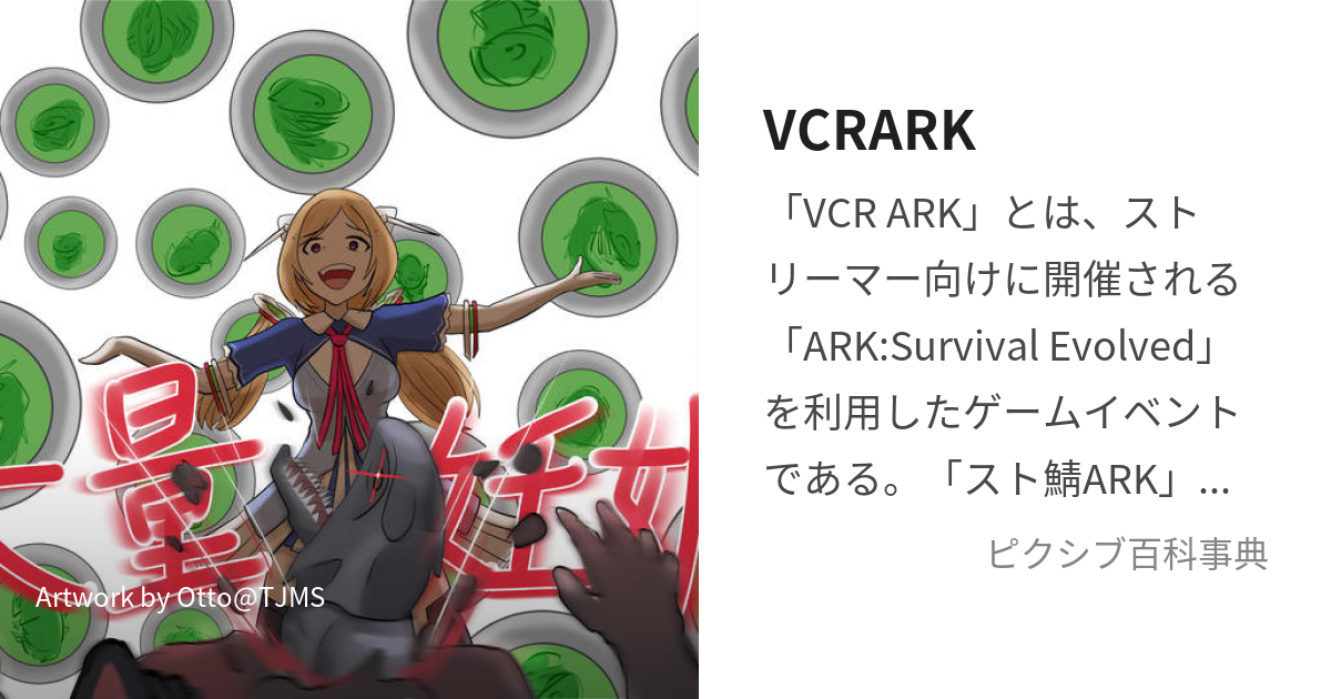 「きょうの料理」ゴーヤーチャンプル