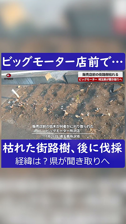 ビッグモーター所沢店前の土壌から除草剤の成分検出 警察に被害届提出へ 埼玉県TBS NEWS DIG