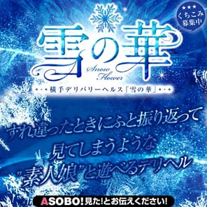 越後湯沢温泉 NASPAニューオータニへのデリヘル嬢派遣実績店一覧 |