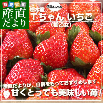 吉原いちご園】アクセス・営業時間・料金情報 - じゃらんnet