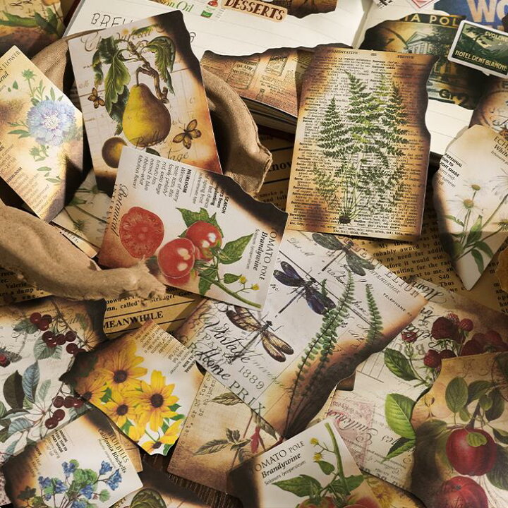 ヒルドプレミアム 10本☆日焼け跡のお手入れに☆かぶれ、かゆみ、美容液