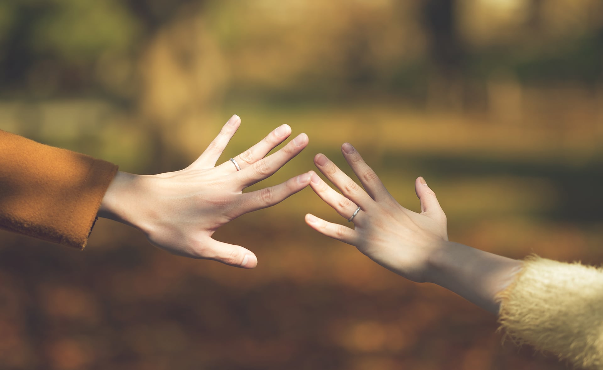 入籍はいつする？入籍タイミング別のメリット・デメリットを紹介家族挙式のウエディング知恵袋