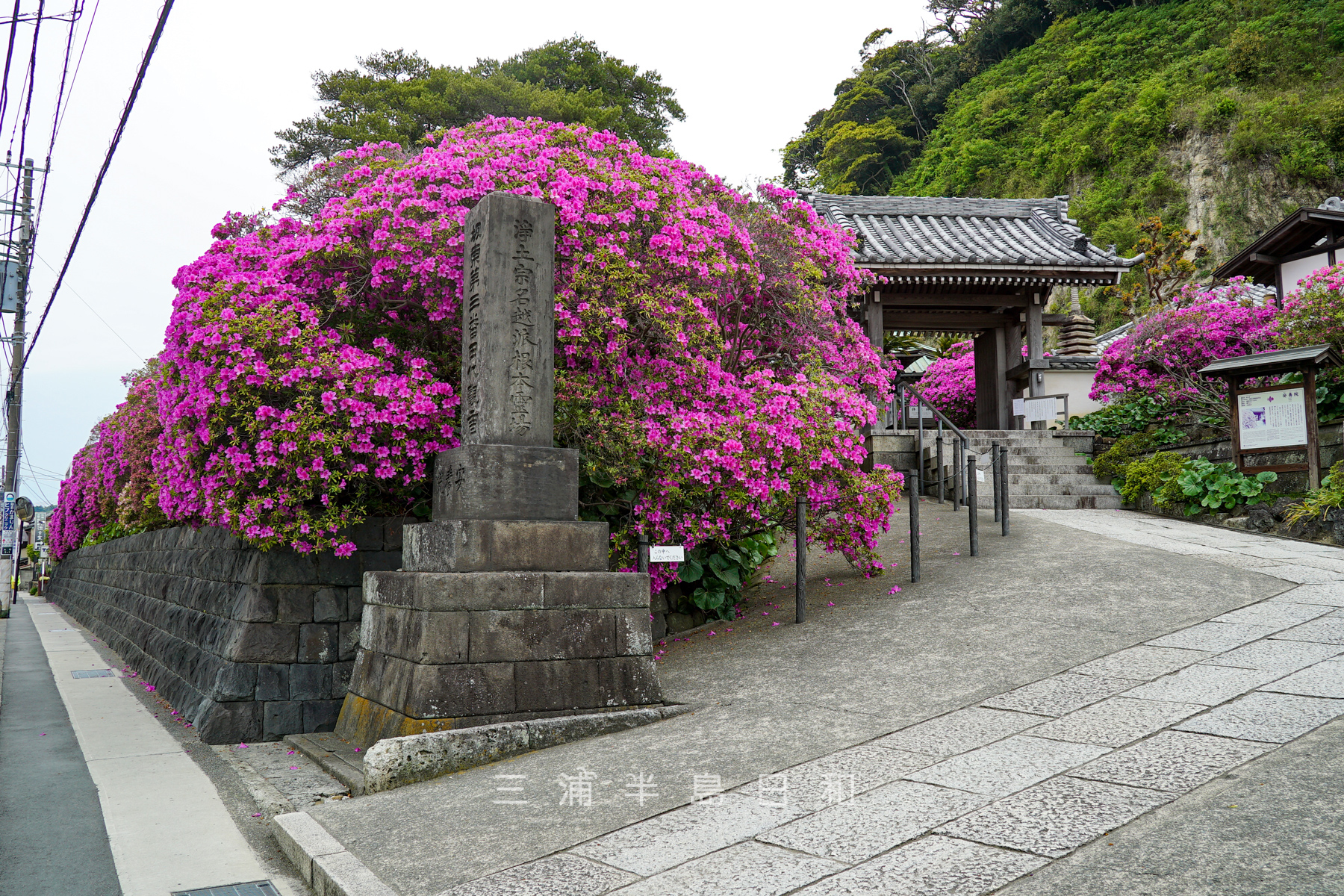 実朝・北条政子のお墓