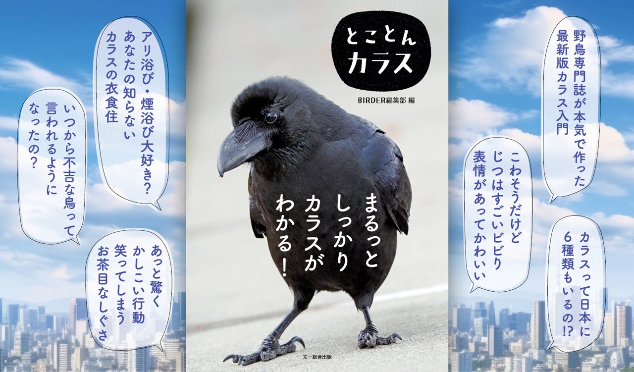 ベクター 鳥 カラス マークの写真素材 - PIXTA
