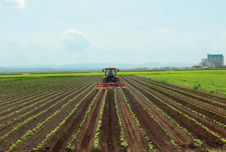 大豆栽培のリアルお金の話 2020 12 22先人からの贈り物、古代からの貴重な大豆をこどもたちへ 株式会社ここく - クラウドファンディングREADYFOR
