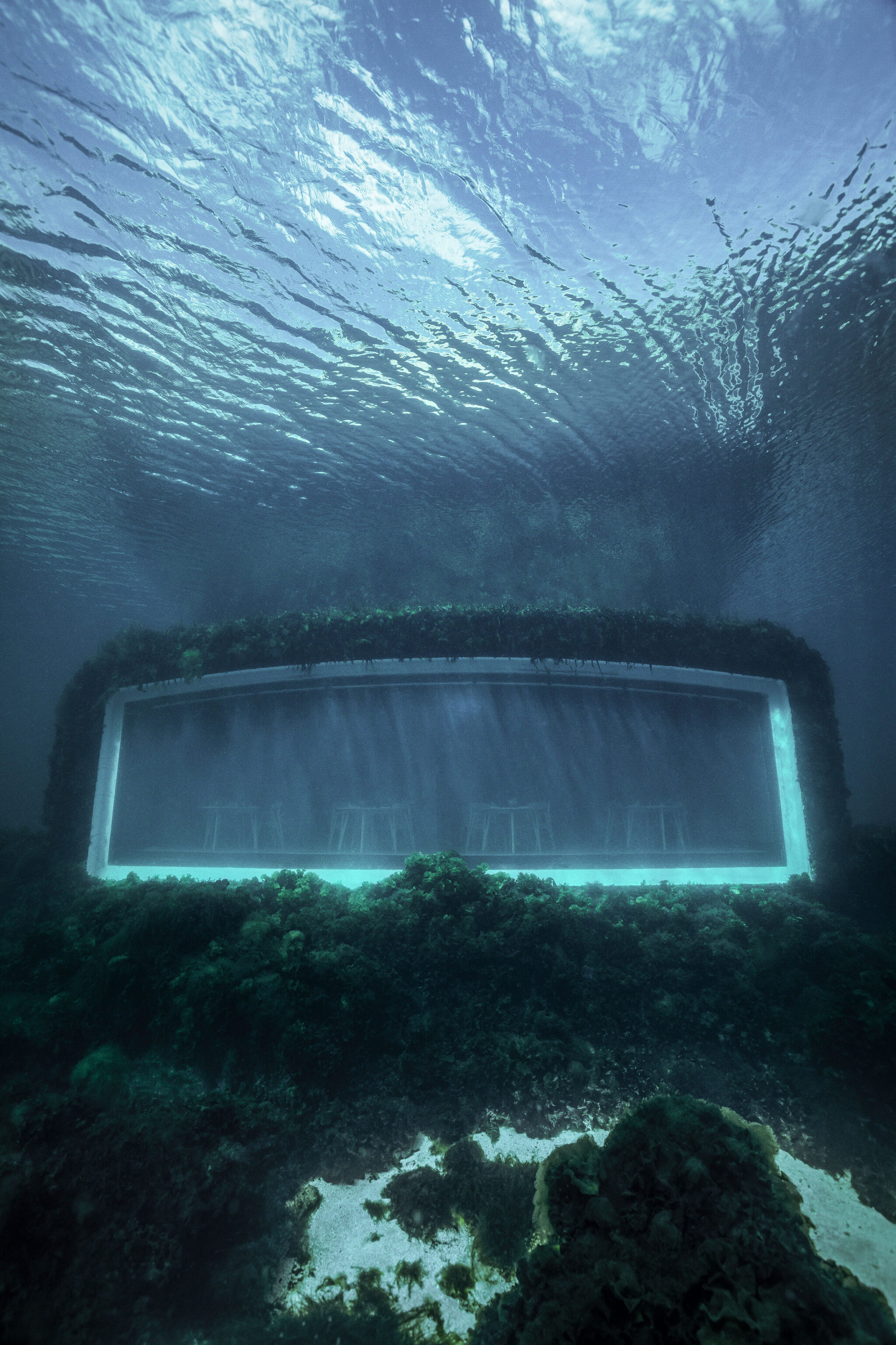 2023年版 オーシャンビューの絶景を楽しめる最旬宿一休コンシェルジュ