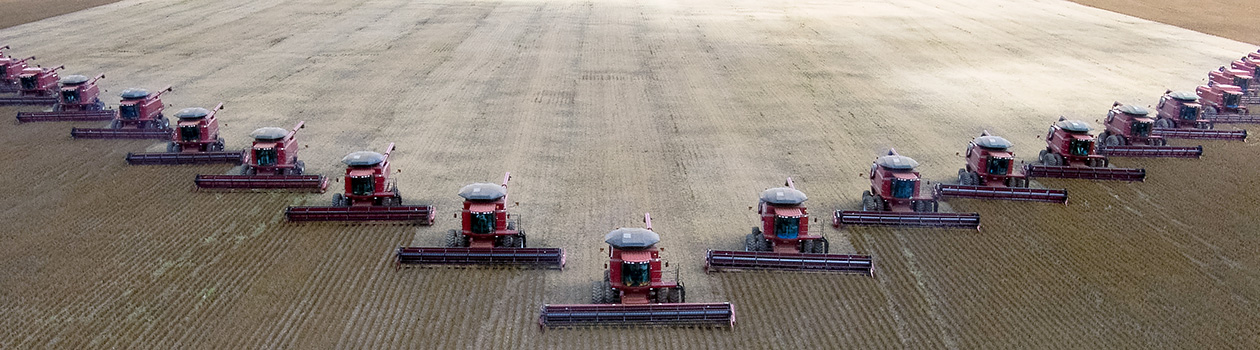 在来種大豆食材ハンターがいくとうきょうの恵みTOKYO GROWN