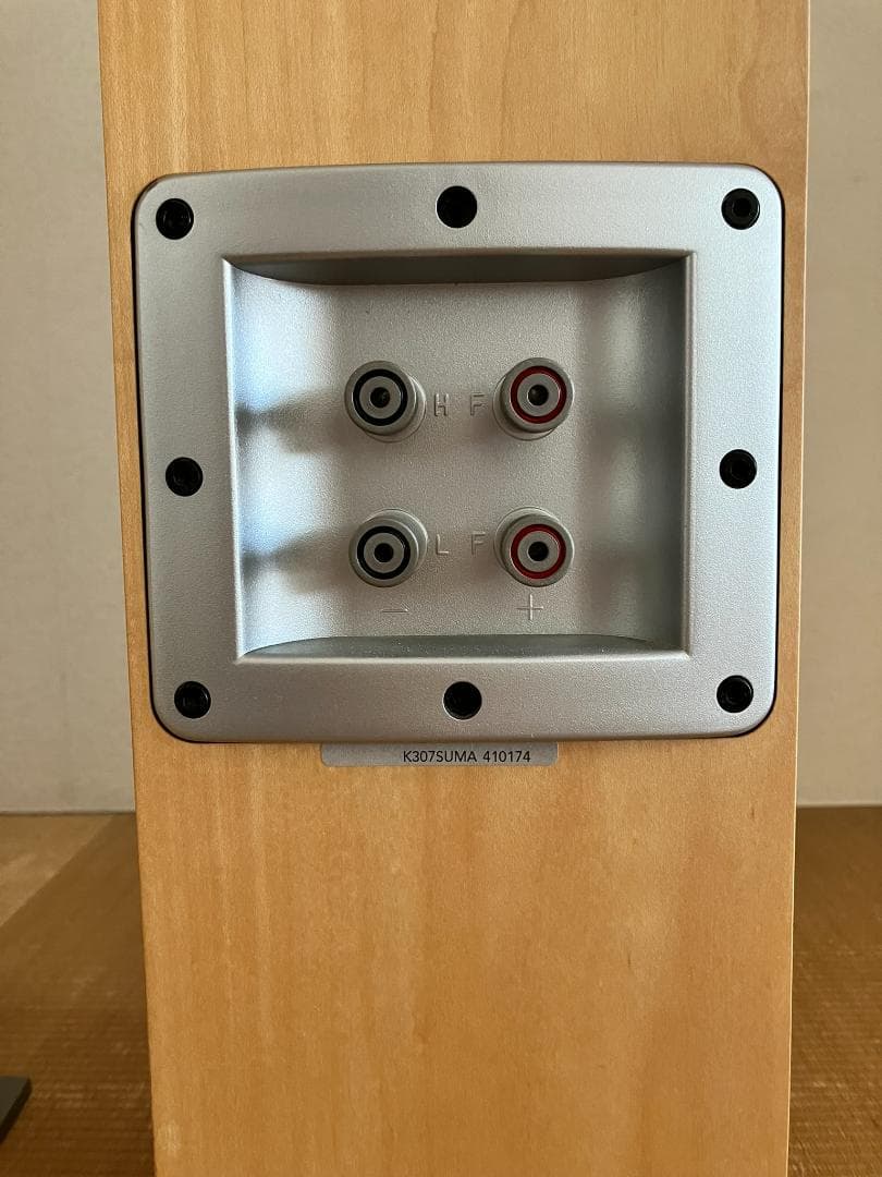 クリエイティブ ギガワークス ティー40 シリーズ2 Amazon.com: Creative GigaWorks T40 Series II 2.0Multimedia