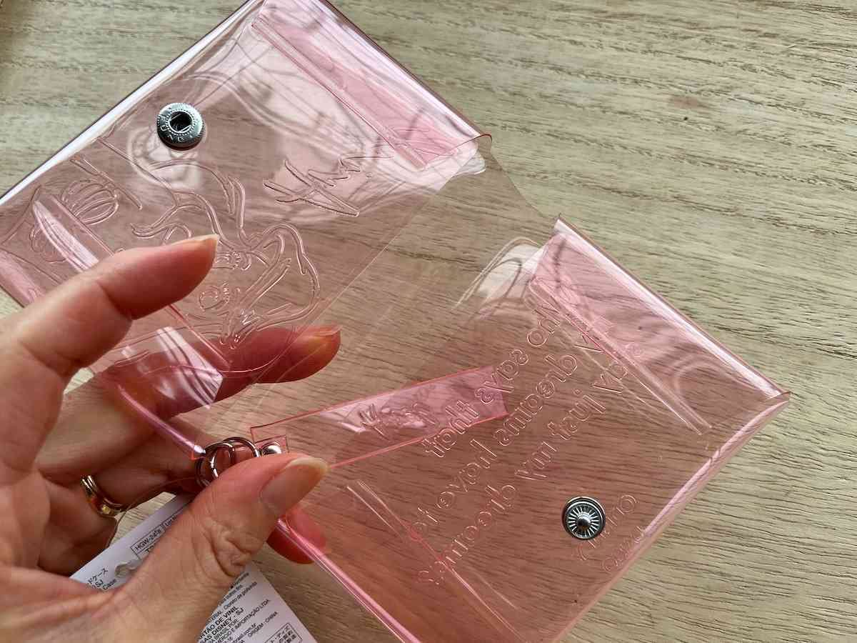 全部わかる人いる？コレ だ～れだ？ダイソーで見つけたディズニーのクリアポーチmichill byGMO ミチル