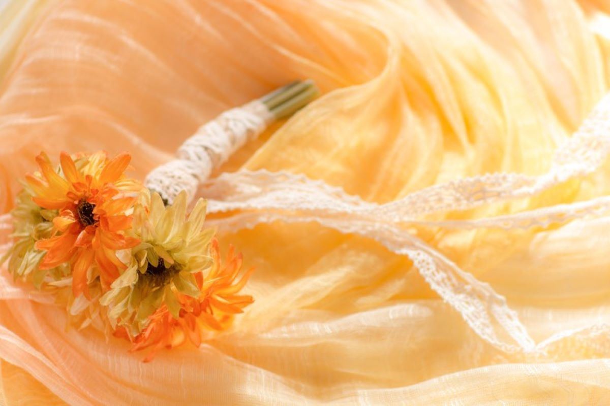 JLPTN1Vocabulary「進呈寄付交付配布」意味