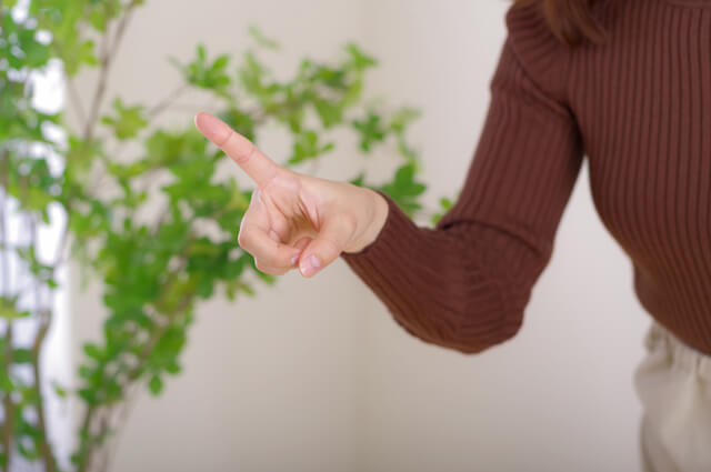 学校担任への要望 例文TikTok