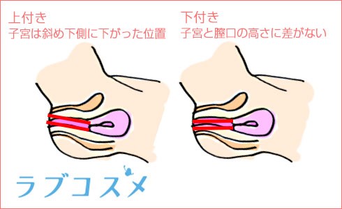 G-Spot G－スポット | Doctor Ms.Sexによる女性の性科学