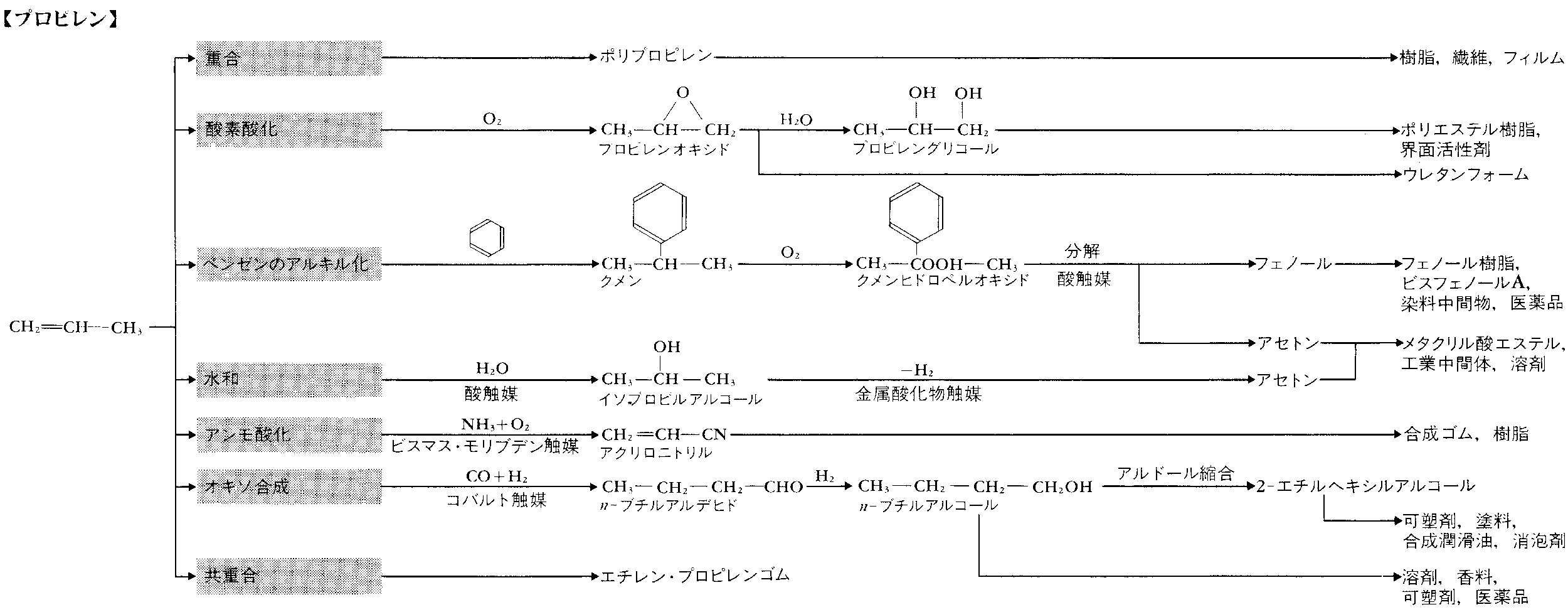 有機化学 第一部 ・演習
