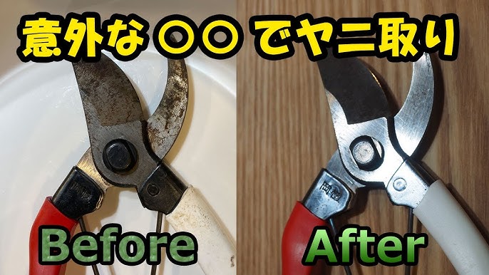 保管方法・お手入れアルスコーポレーション