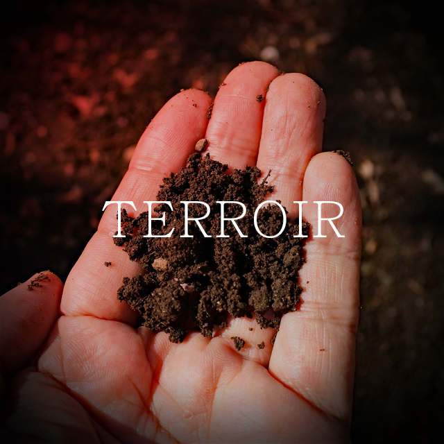 About-藍屋テロワール