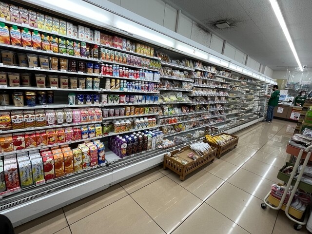 安善駅 路線図・路線一覧レイルラボ RailLab