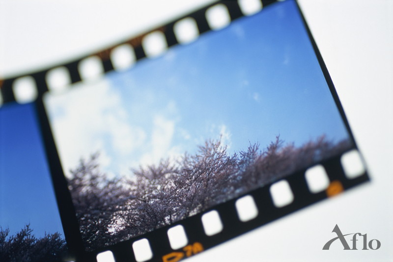 4V210-08 マニホールド連数 電磁弁 11-20 組み合わせ DC12V 24V AC220V 継手付き 5 ポート 2 ポジAmazon.co.jp: Heschen 電気空気圧ソレノイドエアバルブ、4V210-08、220VAC、PT1 4、5ウェイ2ポジション、シングルコイル電気駆動、CE、継手とマフラー付き4イン1製品