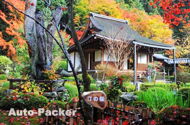 貫井神社 アクセス完全ガイド！最寄り駅・バス・駐車場のポイントまとめ