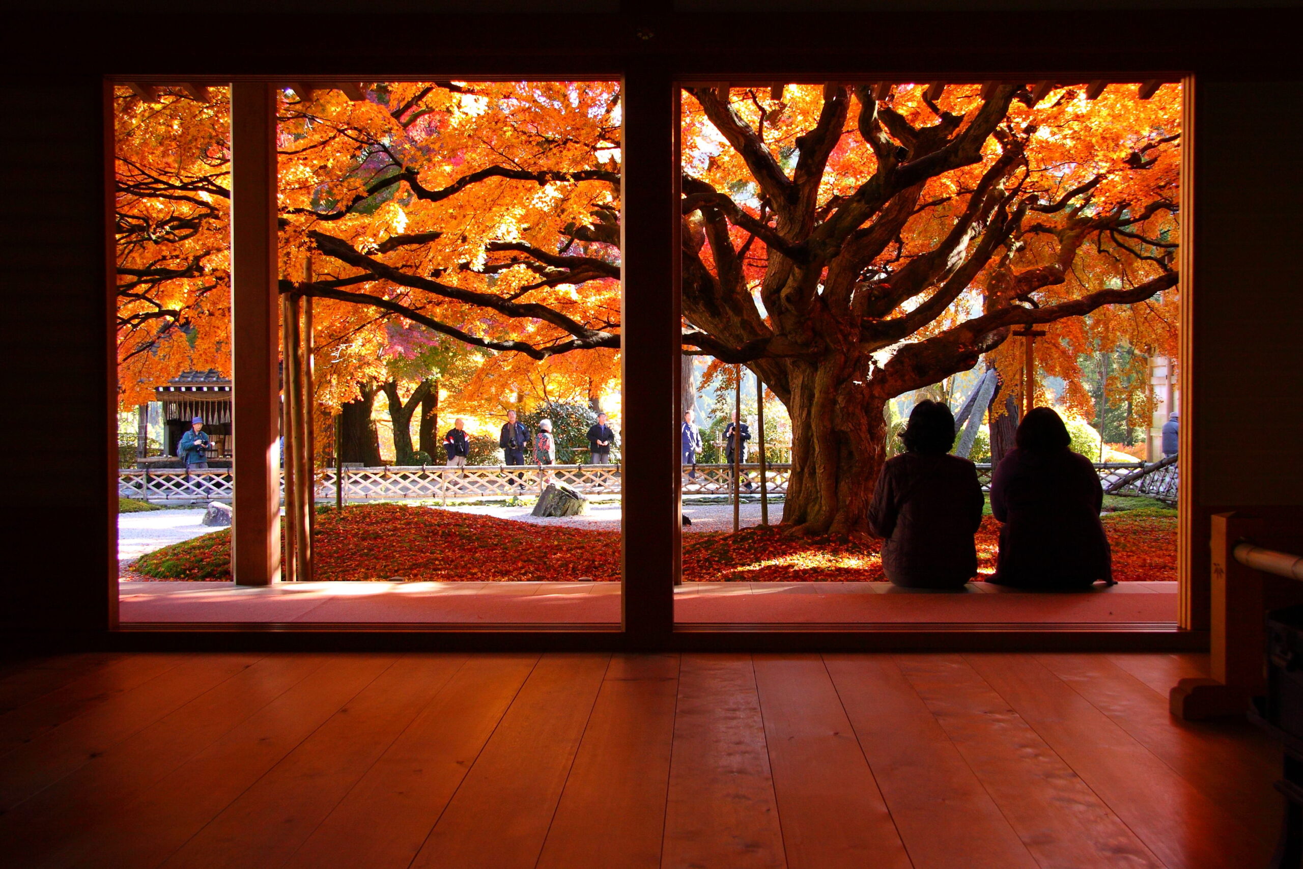 雷山 千如寺大悲王院春山笑うごとし♬ 〜 神社仏閣巡りとお参り貯金 旅行貯金〜 smile spring mountain