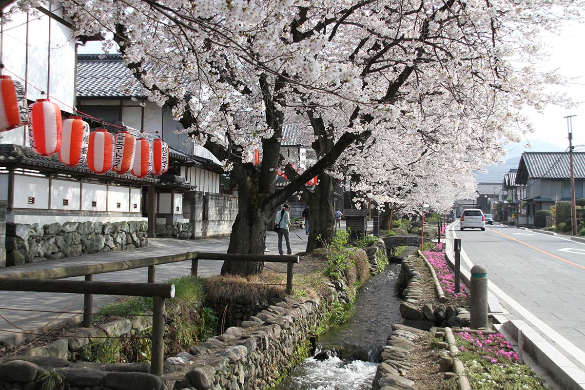 ホテル街に霊園、ディープな街、鶯谷の調査｜現状を知り将来の鶯谷を考える - Daily Scenery